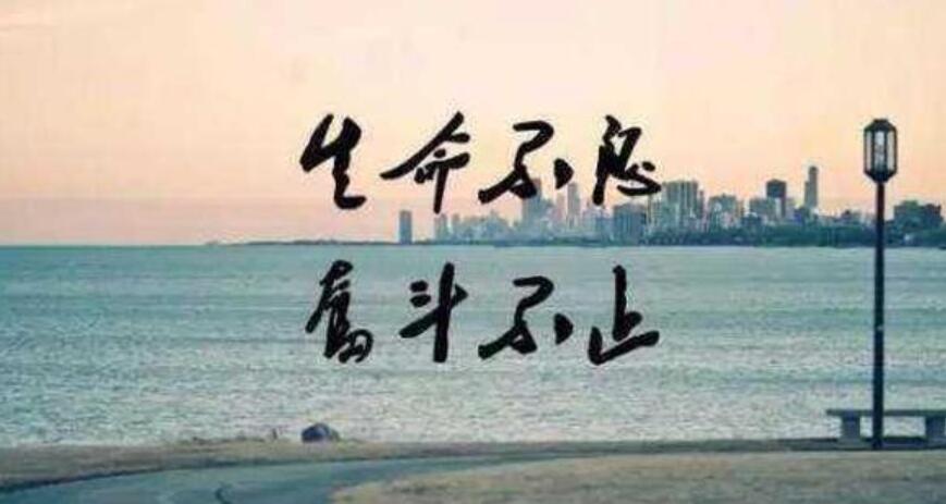 努力奋斗终会成功作文500字