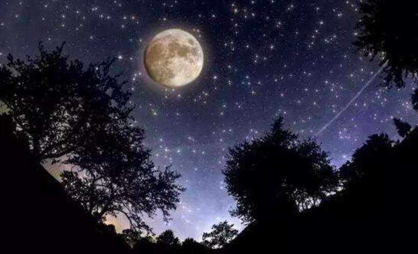 星空即景作文400字五年级