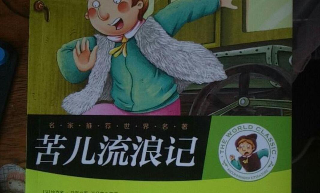 苦儿流浪记读后感600字