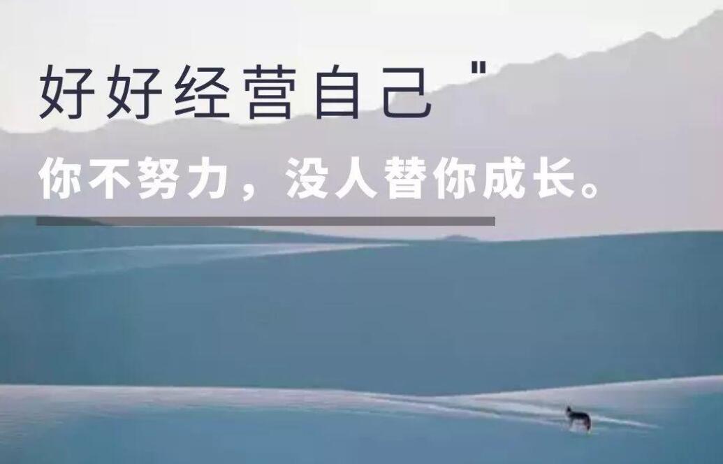 经营自己作文700字