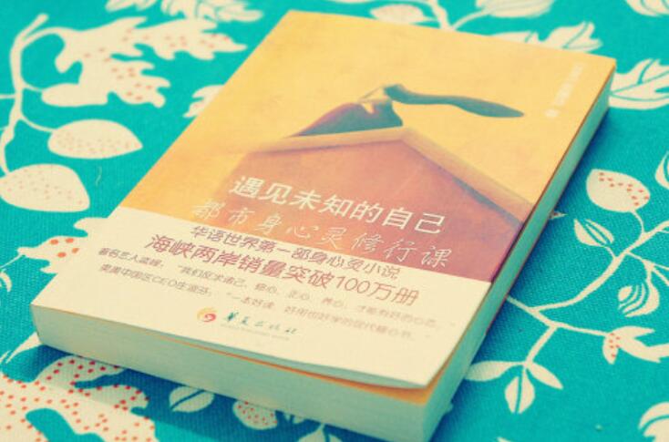 遇见未知的自己读后感600字