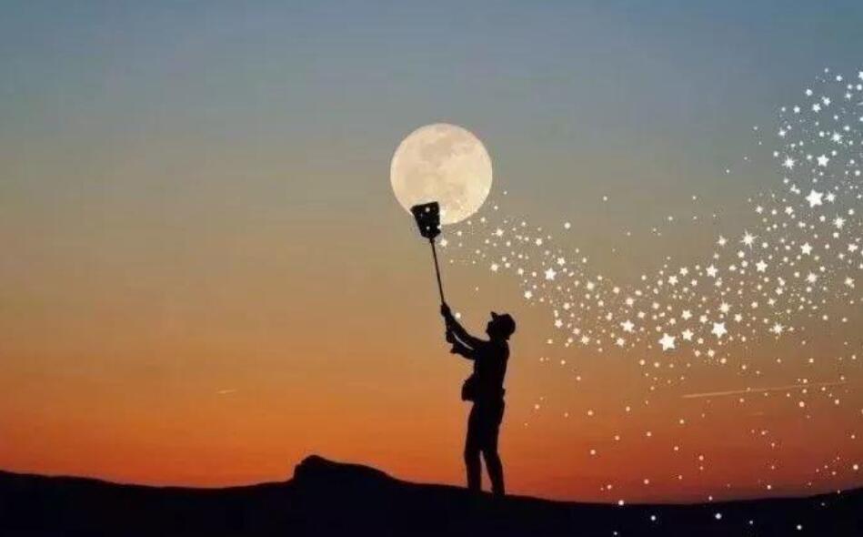 这就是我作文700字初中