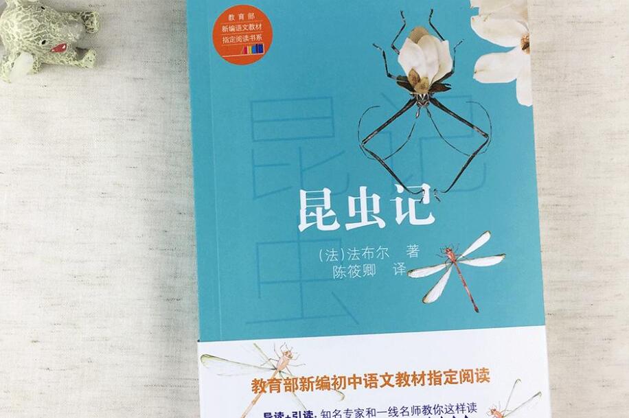 昆虫记读后感1000字初二