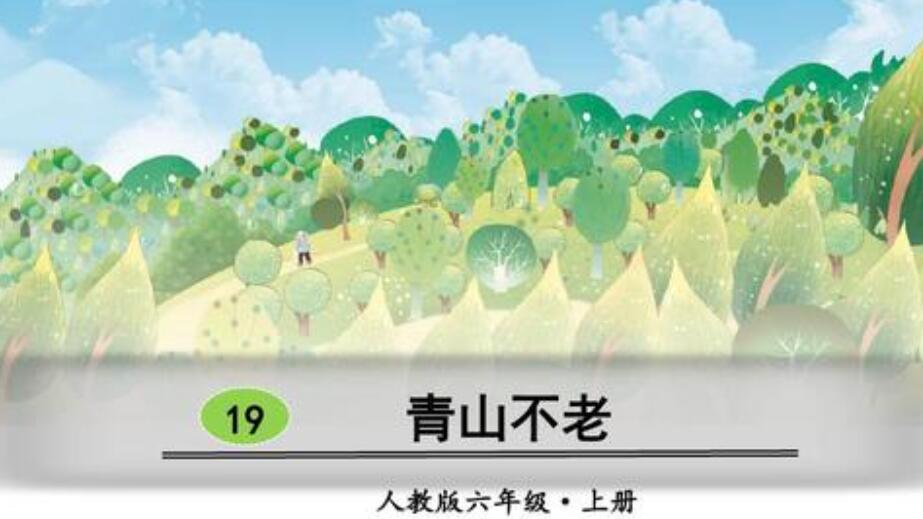 《青山不老》读后感600字