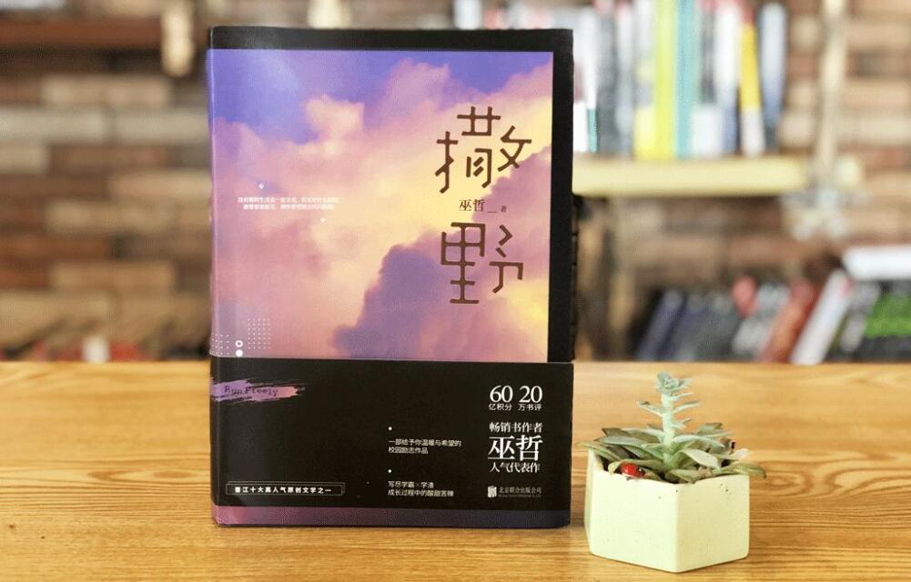 读《撒野》有感1000字