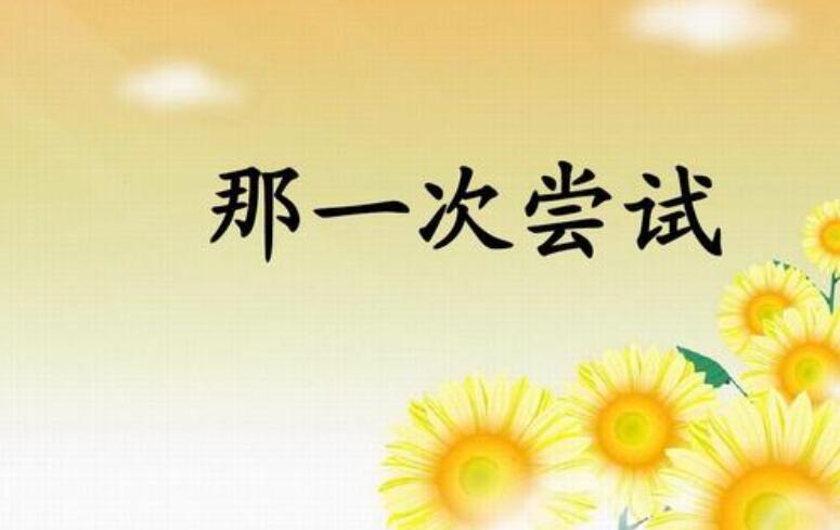 那是一次失败的尝试作文600字六年级