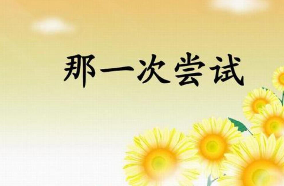 那是一次艰难的尝试作文600字