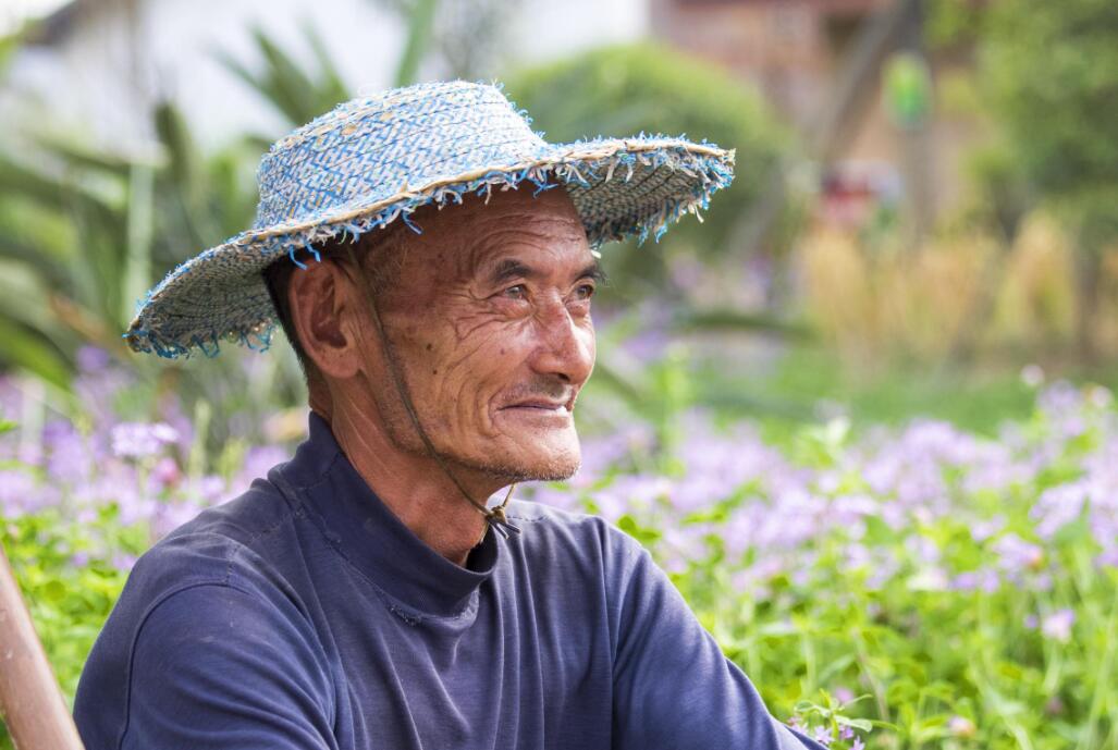 饱经风霜的脸写一段话100字