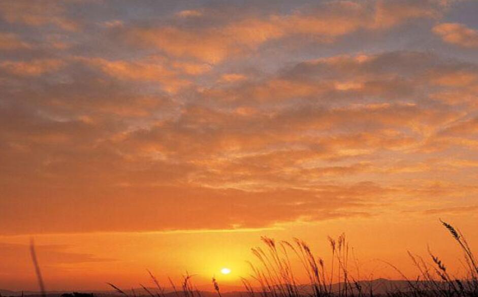 晚霞即景作文500字五年级