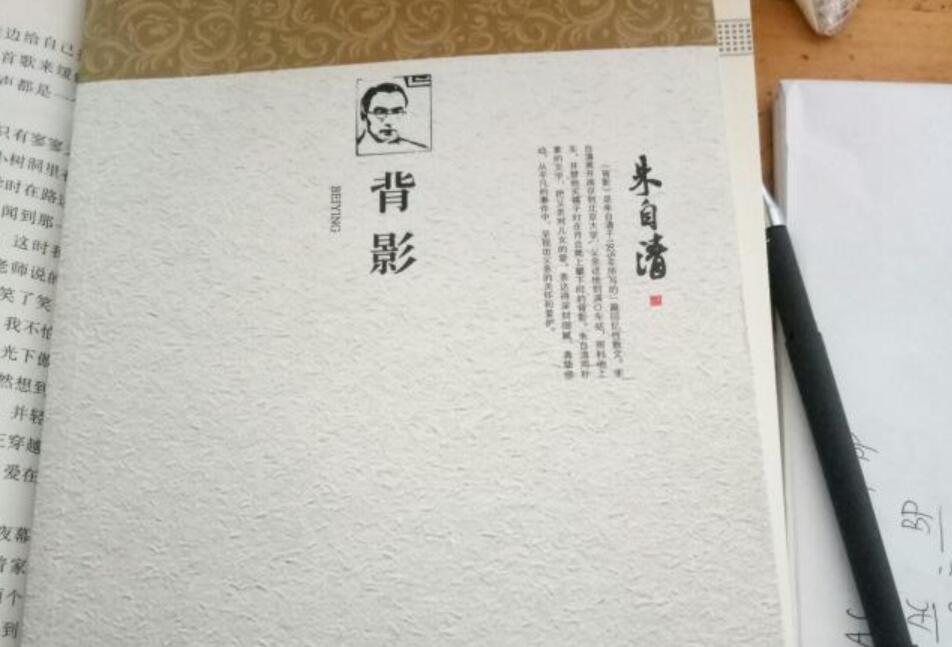 背影读后感600字