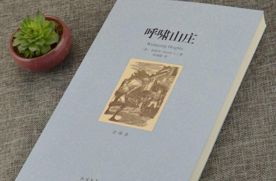 呼啸山庄读后感600字