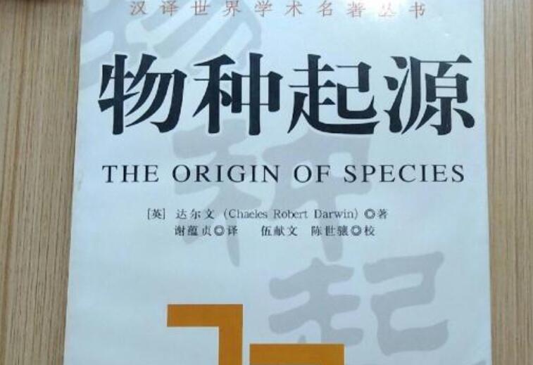 物种起源读后感600字