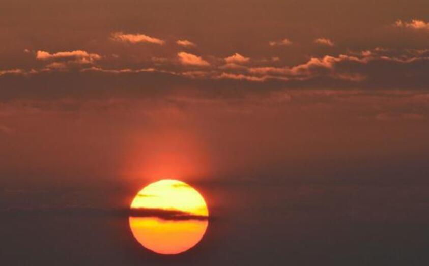 升起心中的太阳作文800字初中