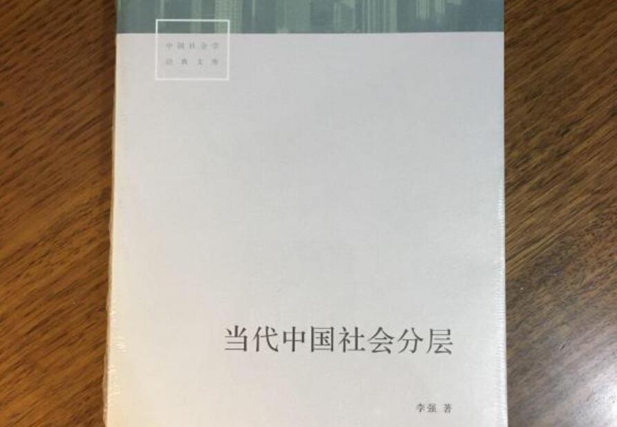 《当代中国社会分层》读后感2000字