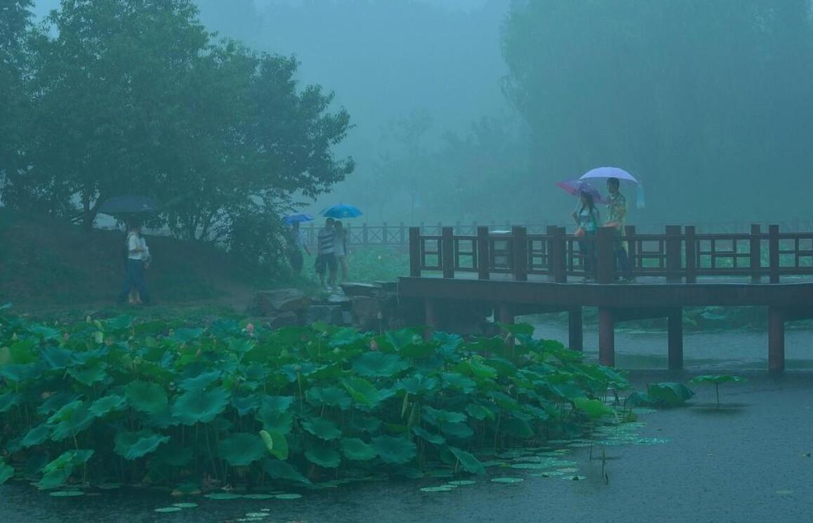 雨中即景.jpg