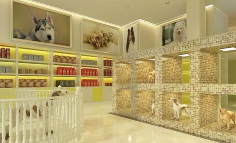 帕斯尼亚宠物店.jpg 帕斯尼亚宠物店.jpg