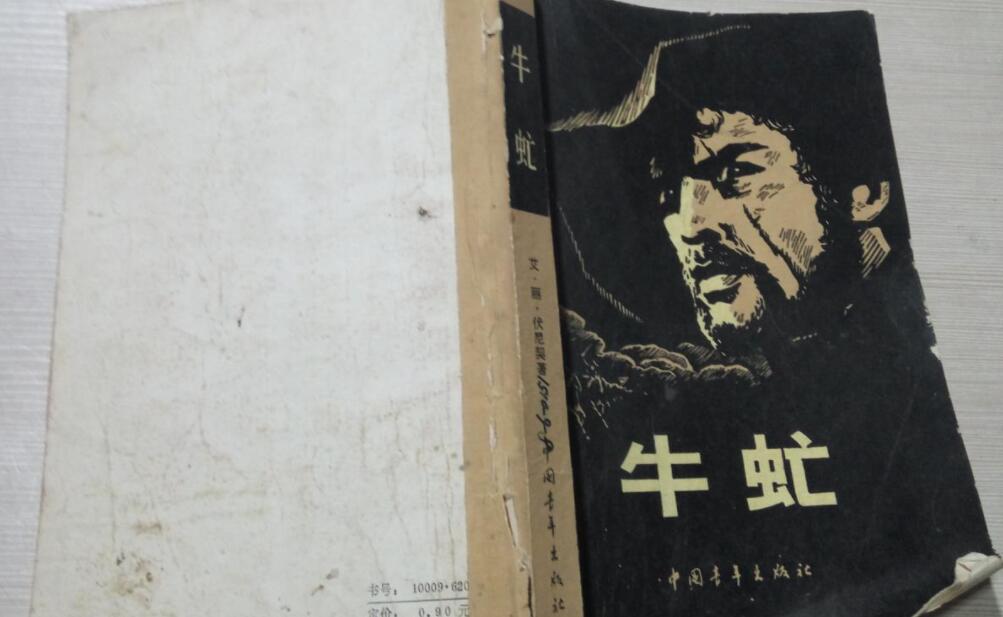 《牛虻》书籍.jpg