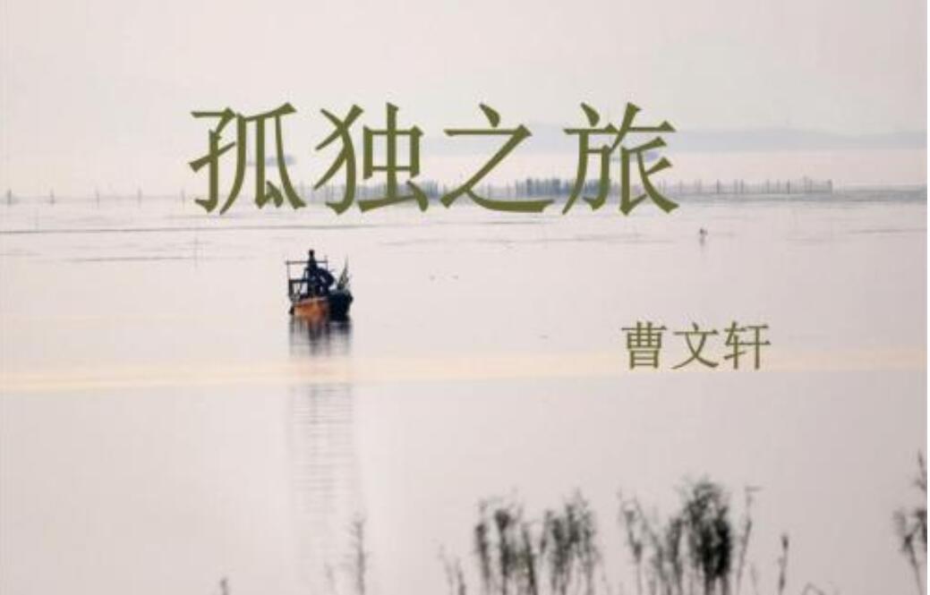 孤独之旅读后感600字