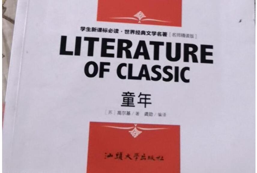 童年读后感500字