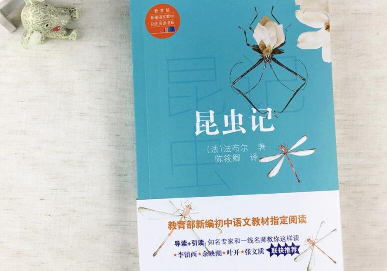 昆虫记读后感500字