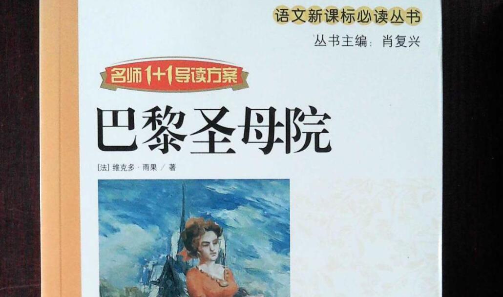 巴黎圣母院读后感500字