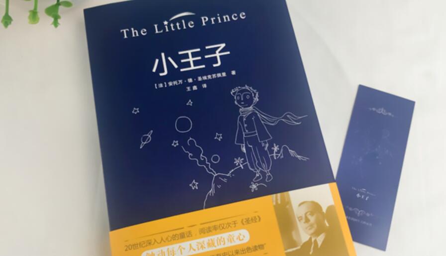 小王子读后感500字