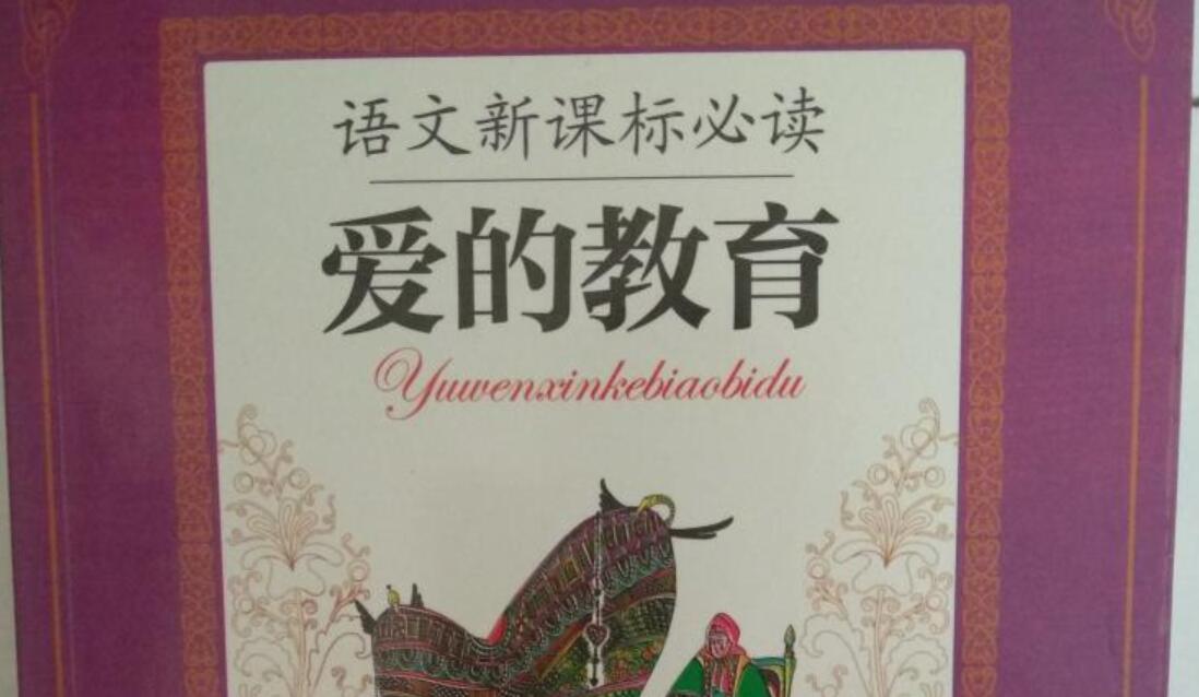 爱的教育读后感500字