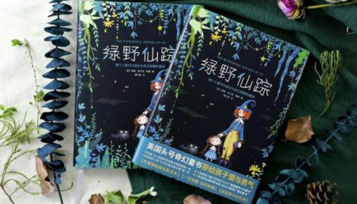 绿野仙踪读后感500字