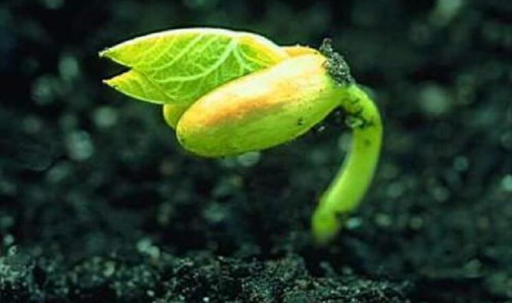 《热爱生命》.jpg 《热爱生命》.jpg