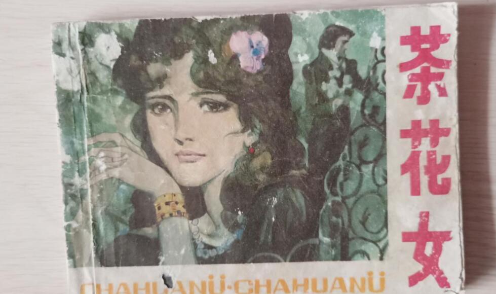 《茶花女》书籍.jpg