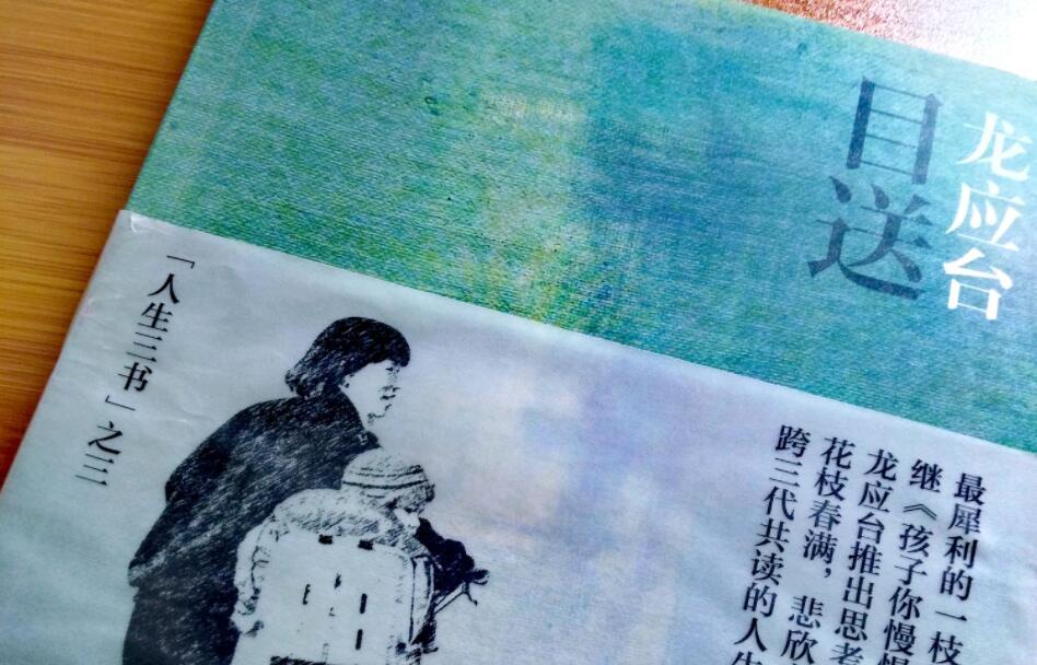 目送读后感500字