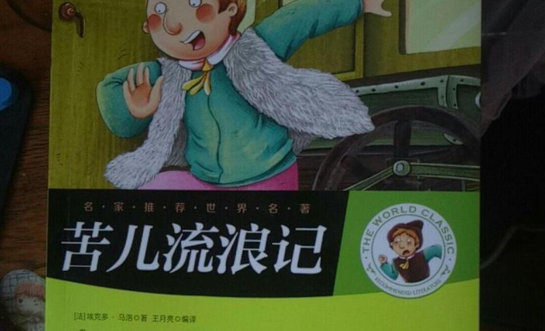 苦儿流浪记读后感500字