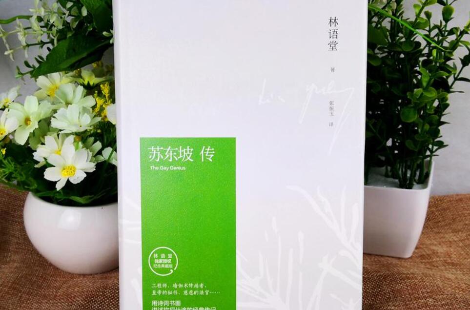 苏东坡传读后感500字