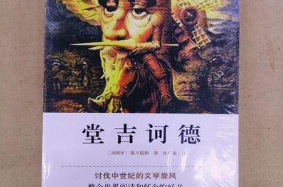 堂吉诃德读后感500字