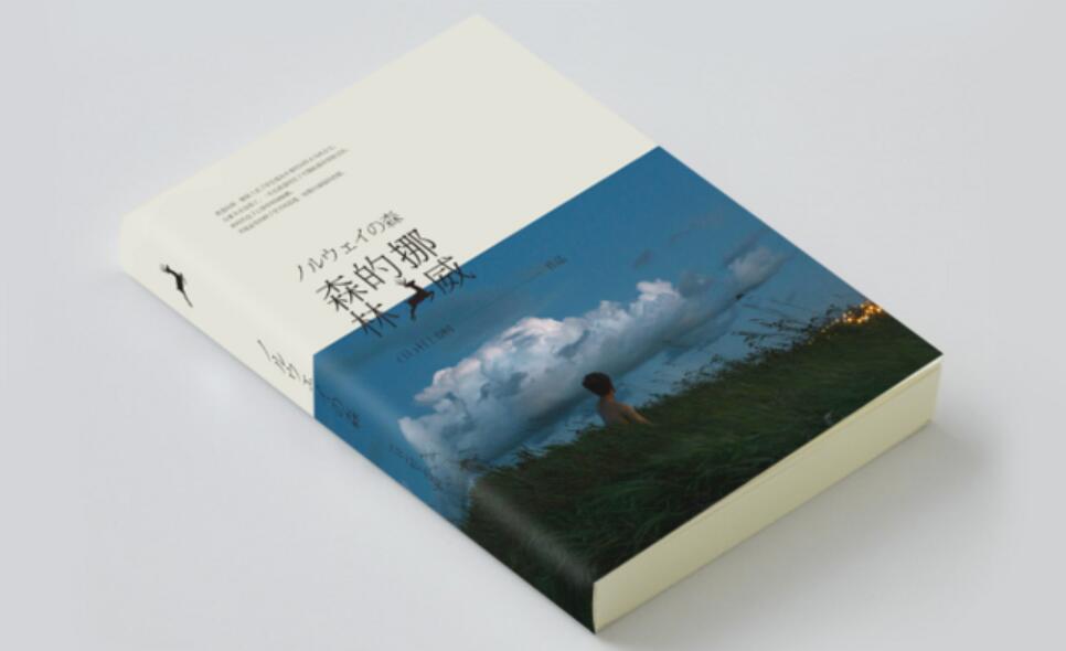 挪威的森林读后感500字
