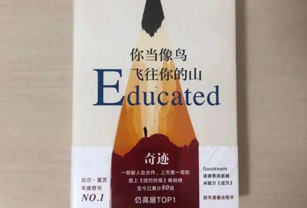 你当像鸟飞往你的山读后感800字