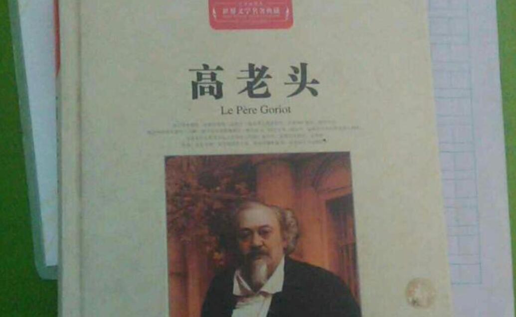 高老头读后感800字高中生