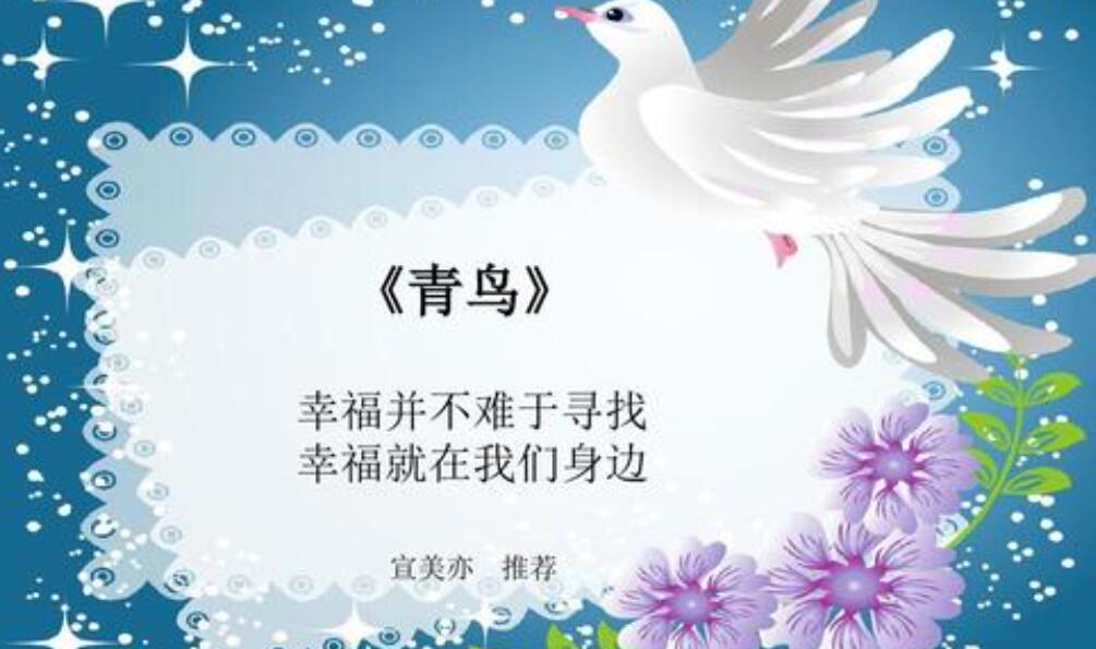 读《青鸟》有感500字
