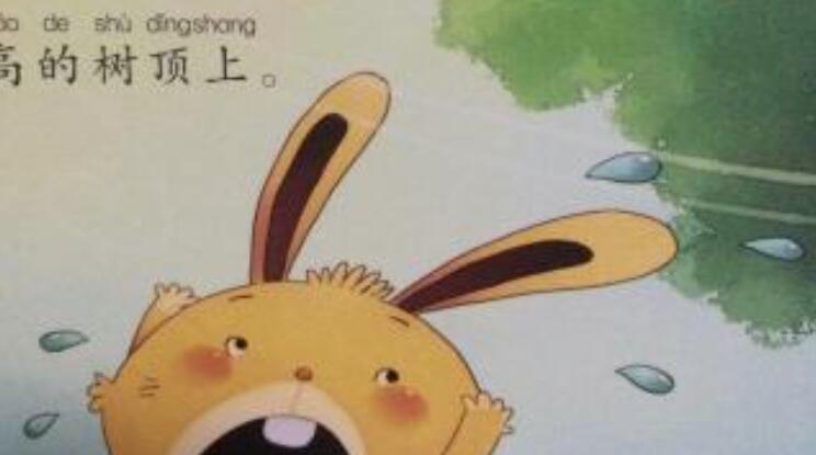 帽子飞走了看图写话二年级