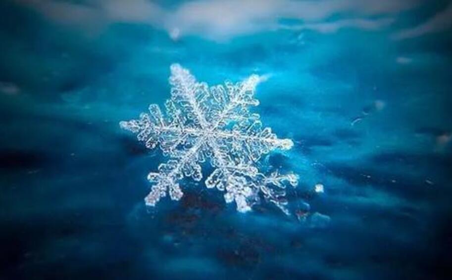 我是一片小小的雪花作文600字