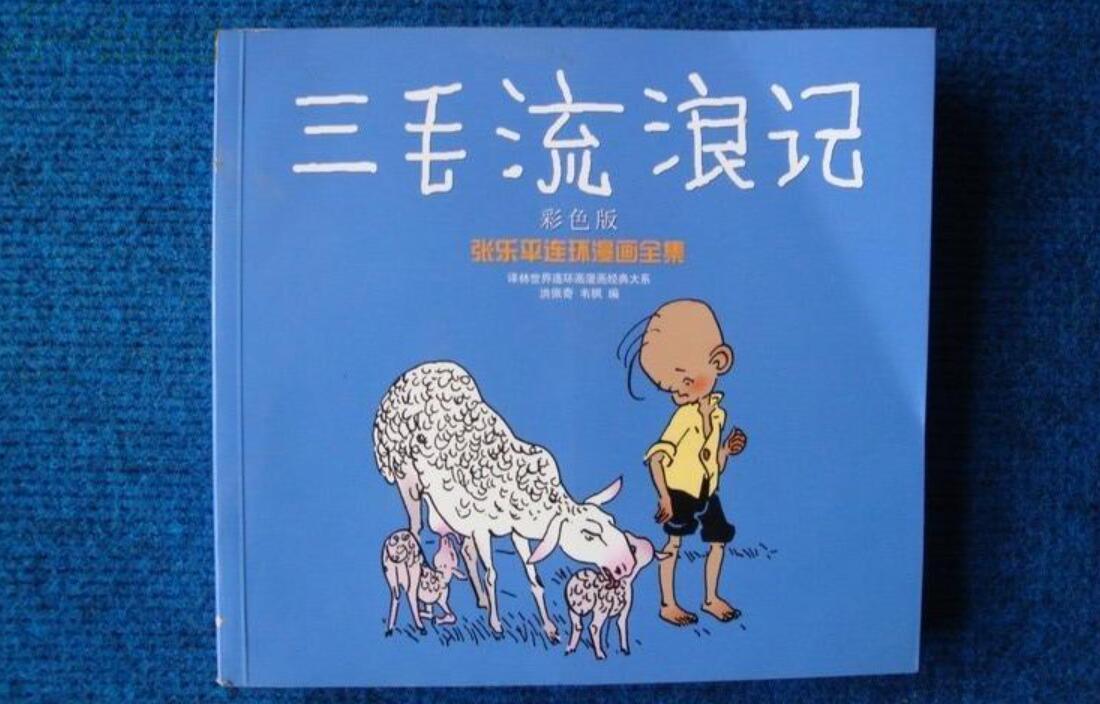三毛流浪记读后感500字