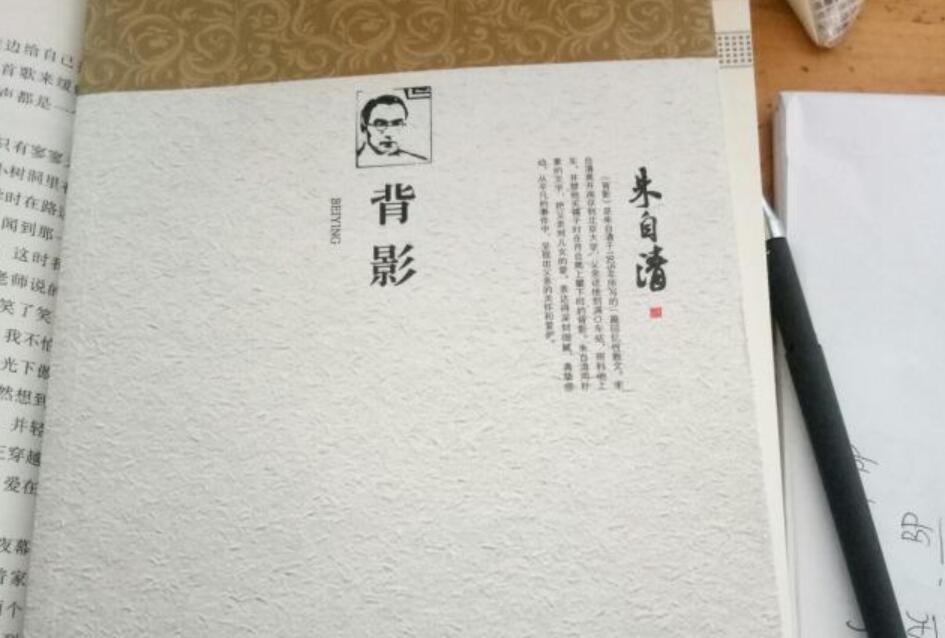 背影读后感500字