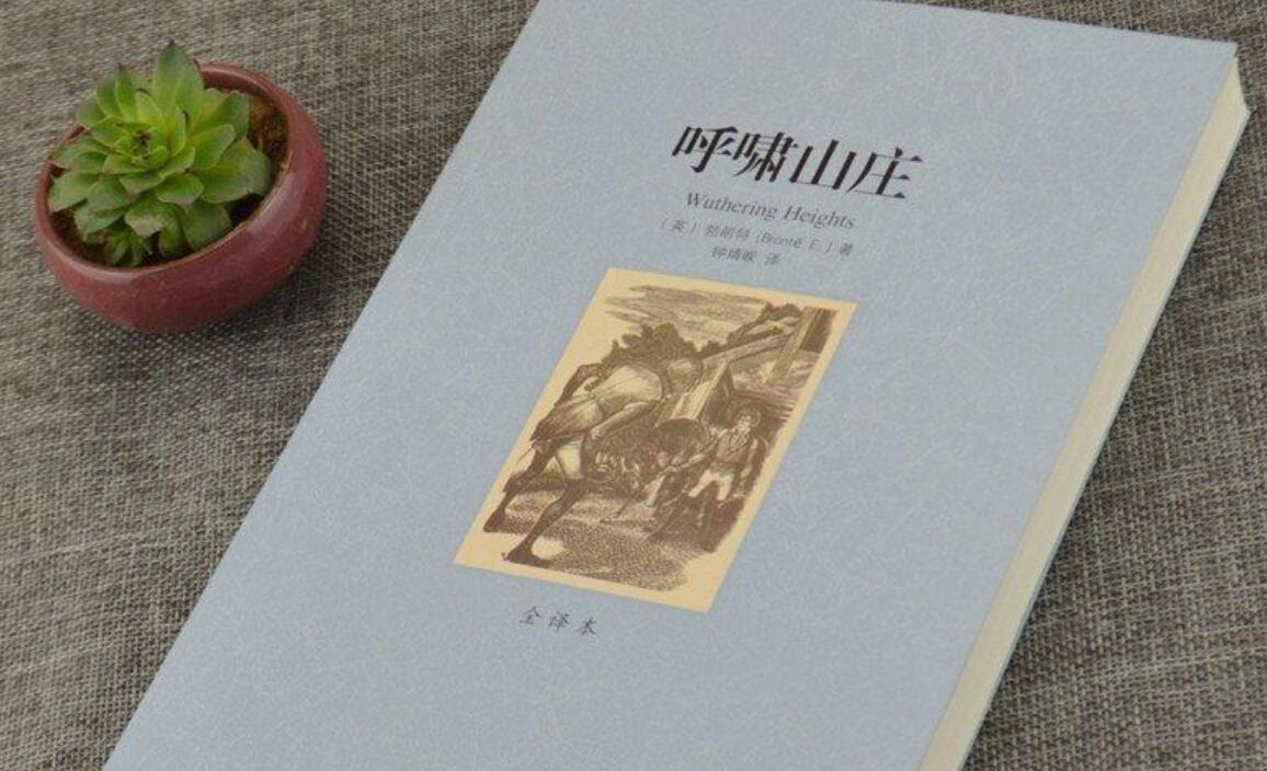 呼啸山庄读后感500字