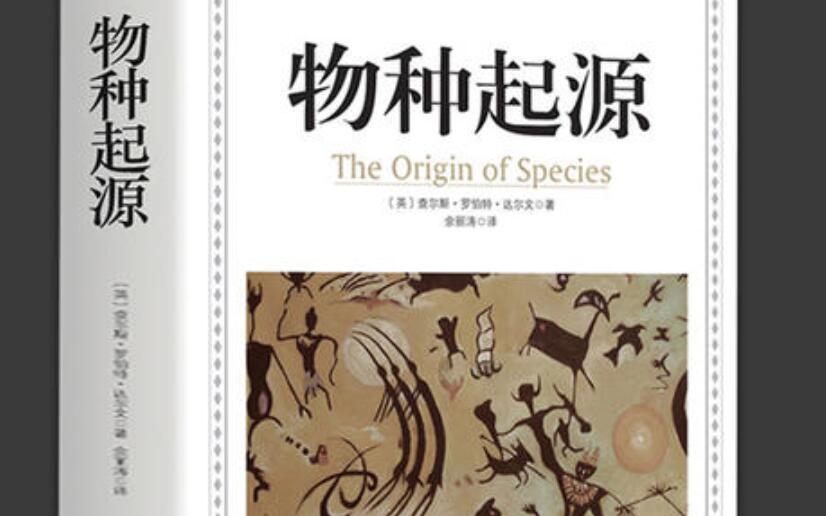 物种起源读后感500字