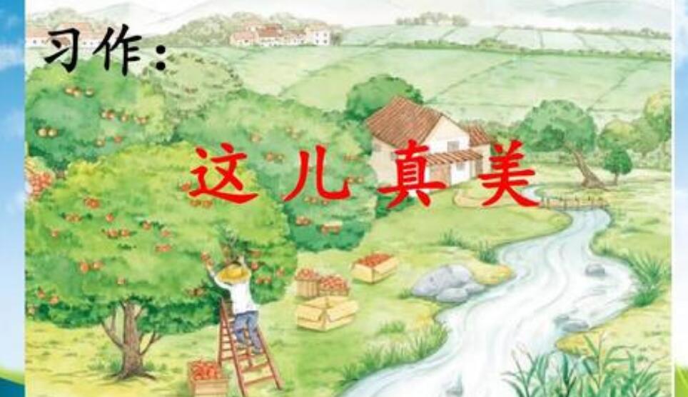 这儿真美作文450字三年级
