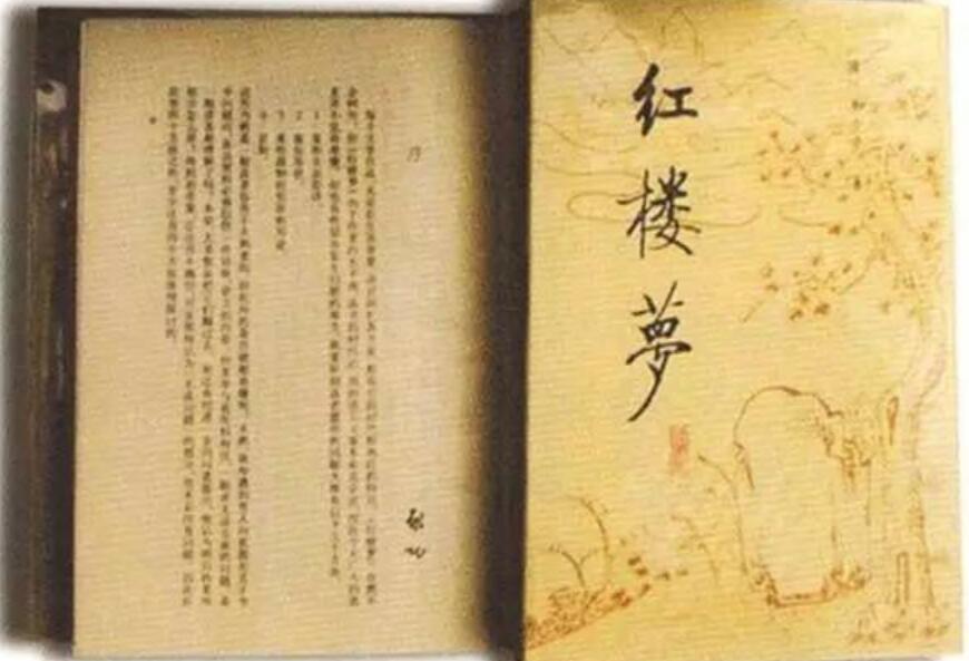 《红楼梦》读后感800字高中
