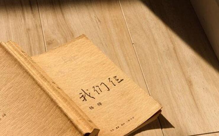 我们仨读后感500字