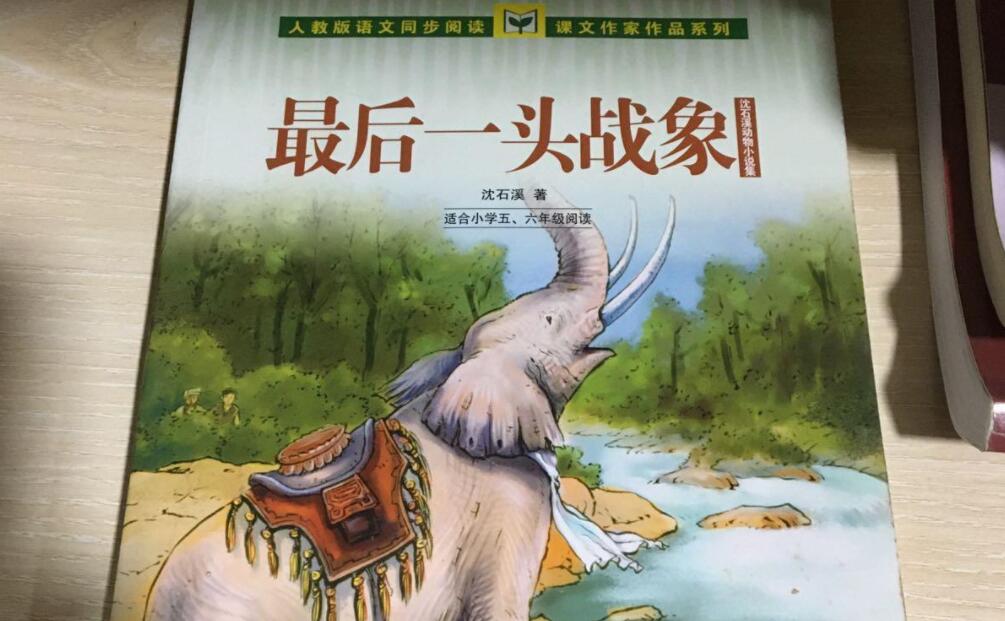 最后一头战象读后感500字