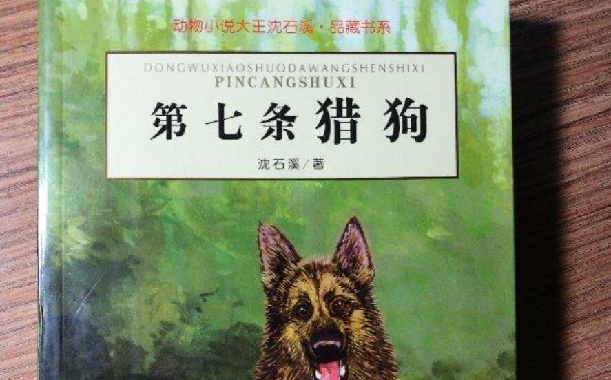 第七条猎狗读后感500字五年级