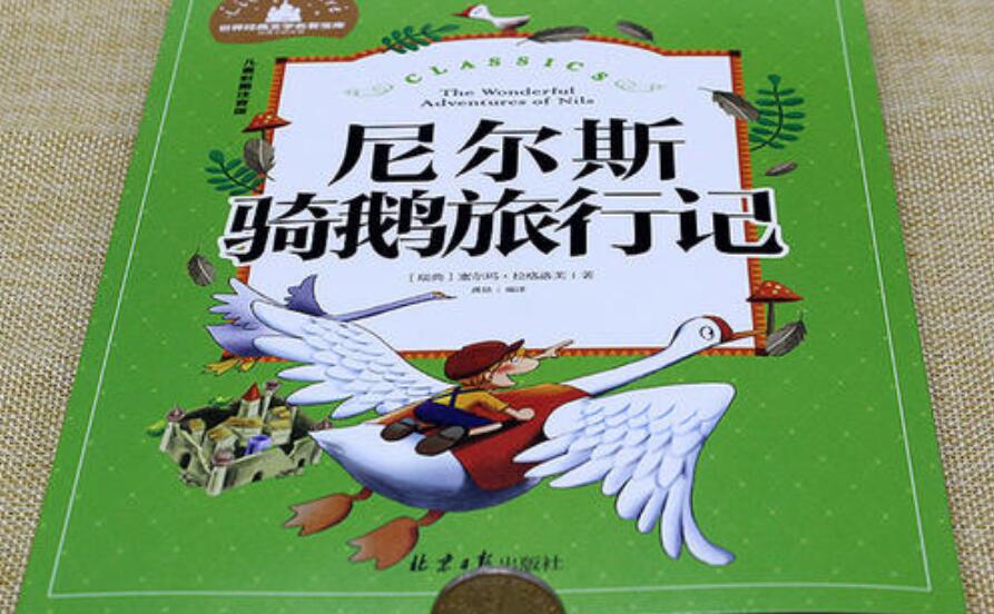 尼尔斯骑鹅旅行记读后感500字